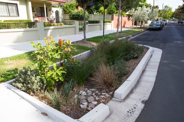 Rain Garden