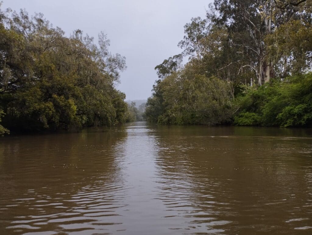 Swollen River