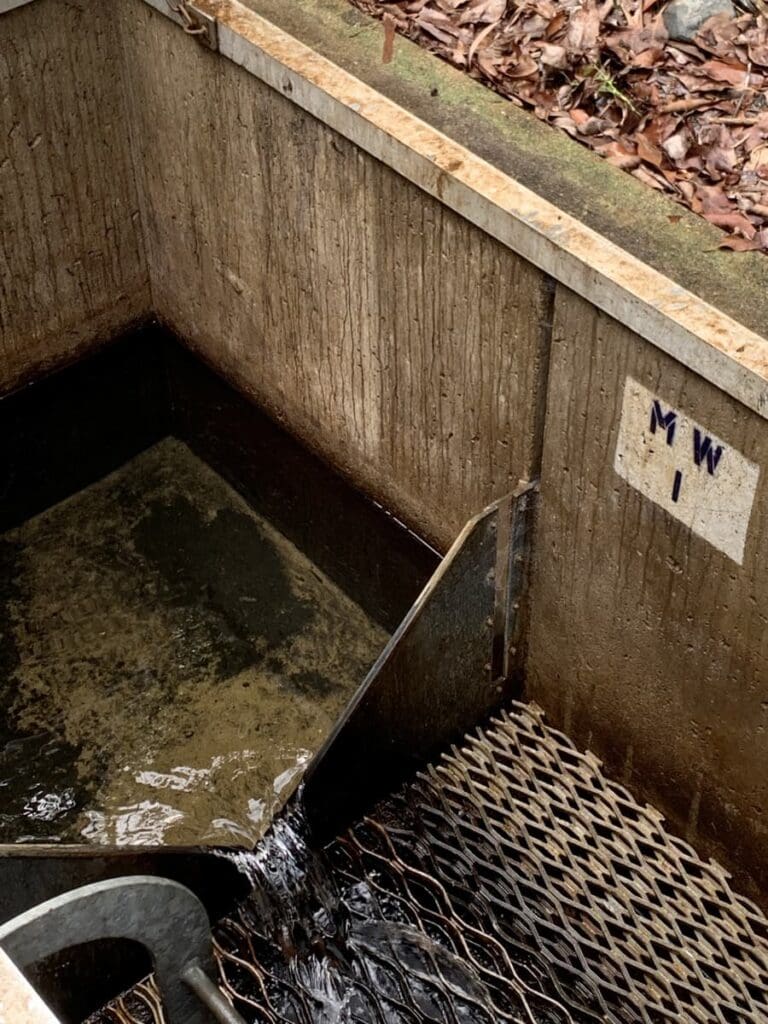 Weir