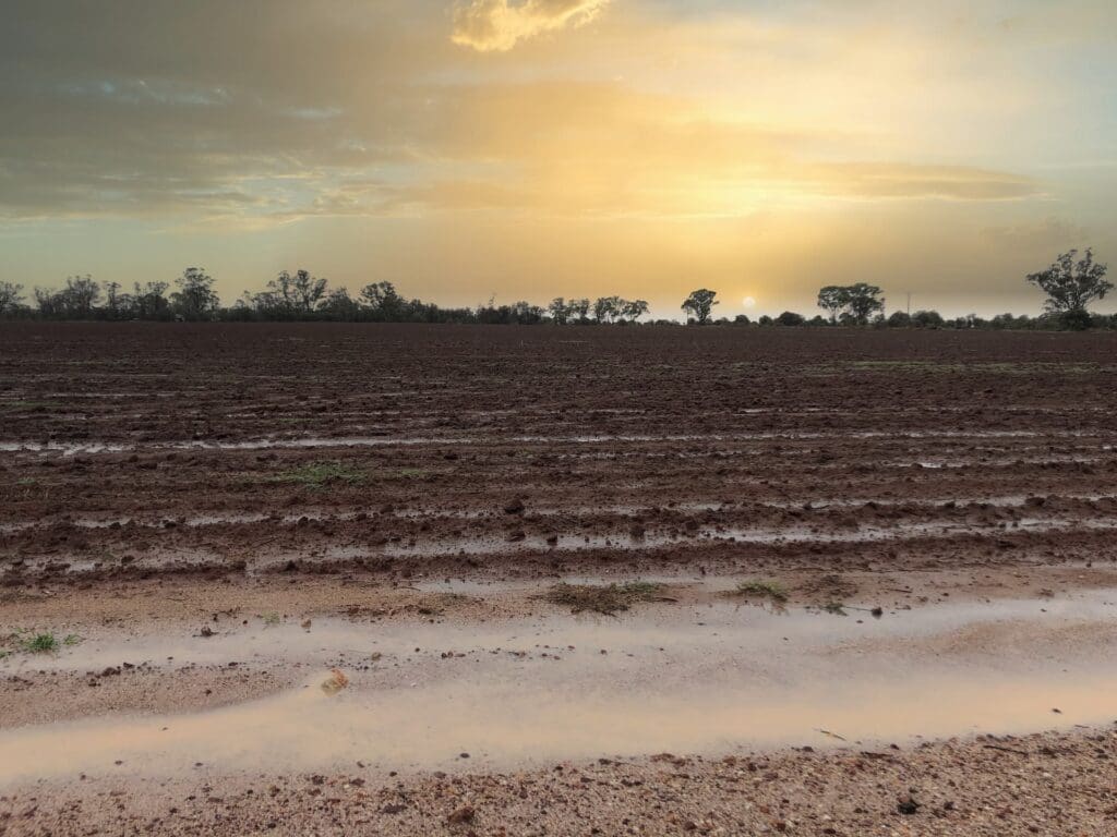 Prime Agricultural Land Protected by a Farm Levee