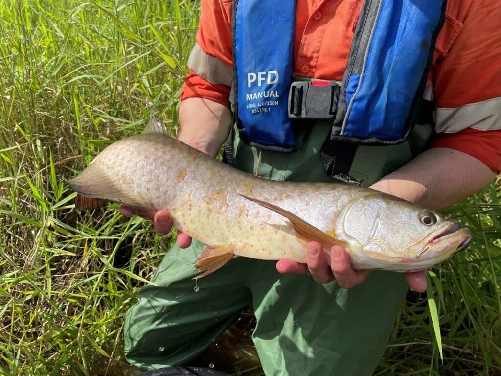 man holding fish