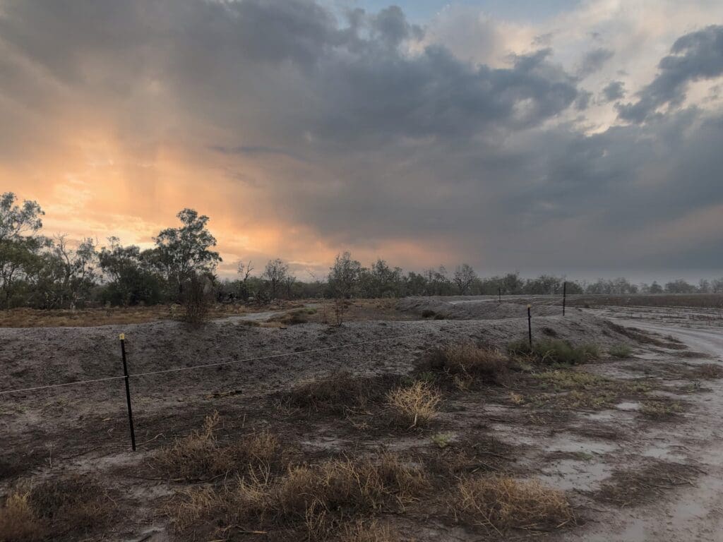 Existing Farm Levee at North Star
