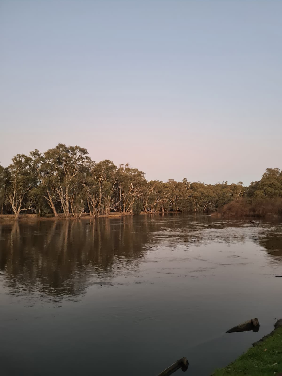 Swan Hill Site Visit 2