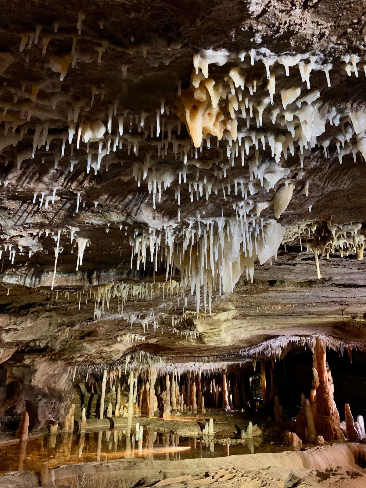 buchan caves 2